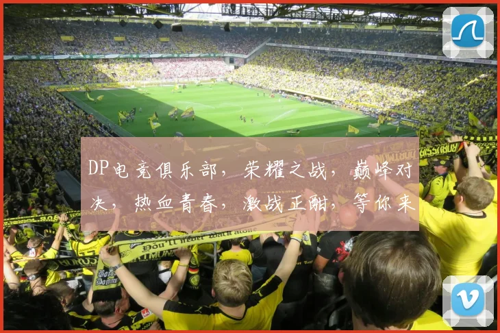 DP电竞俱乐部，荣耀之战，巅峰对决，热血青春，激战正酣，等你来战