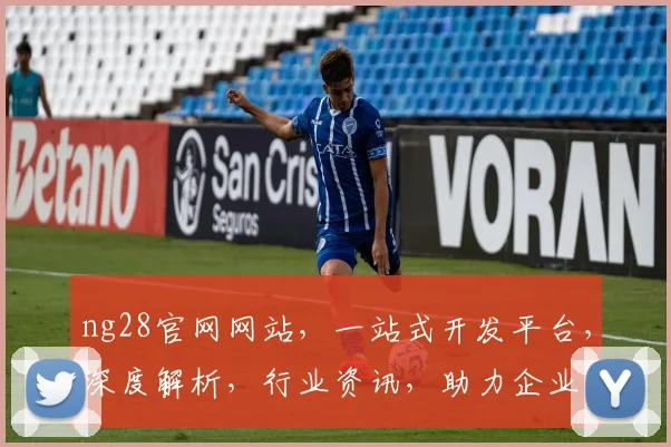 ng28官网网站，一站式开发平台，深度解析，行业资讯，助力企业高效发展