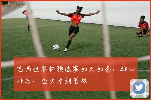 巴西世界杯预选赛如火如荼，雄心壮志，全力冲刺晋级
