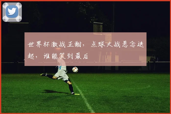 世界杯激战正酣，点球大战悬念迭起，谁能笑到最后